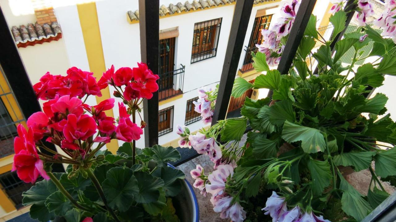 Patios De San Pedro Cordoba Exterior photo
